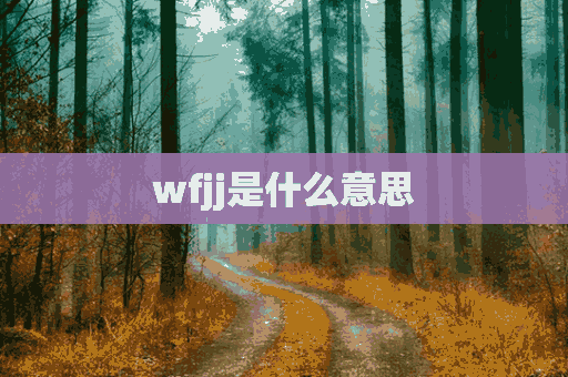 wfjj是什么意思